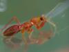 300749 – Photo : Florian ALONSO – France (69)